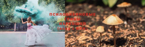 герыч Новокубанск