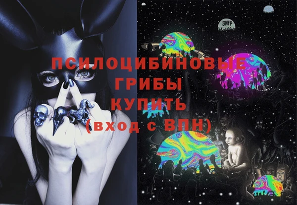 гидра Алзамай