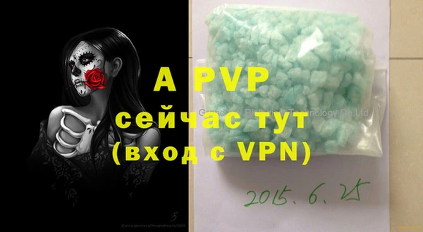 шишки Новодвинск