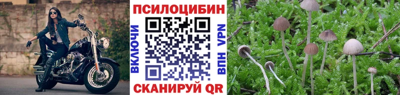 Псилоцибиновые грибы MAGIC MUSHROOMS мега ССЫЛКА Борисоглебск